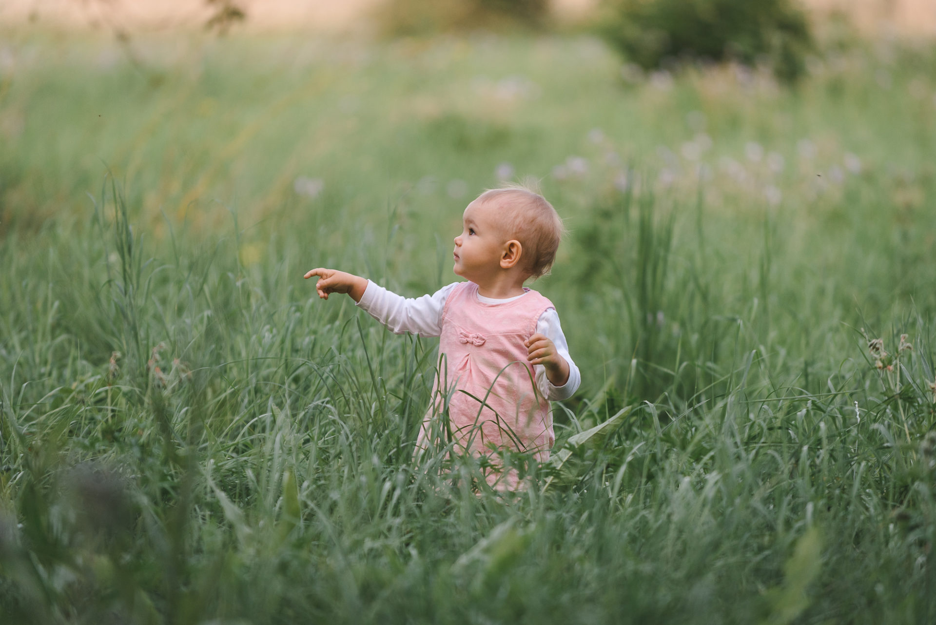 Tessa Trommer Fotografie Kinderfotografie Wiese Sommer Abendlicht