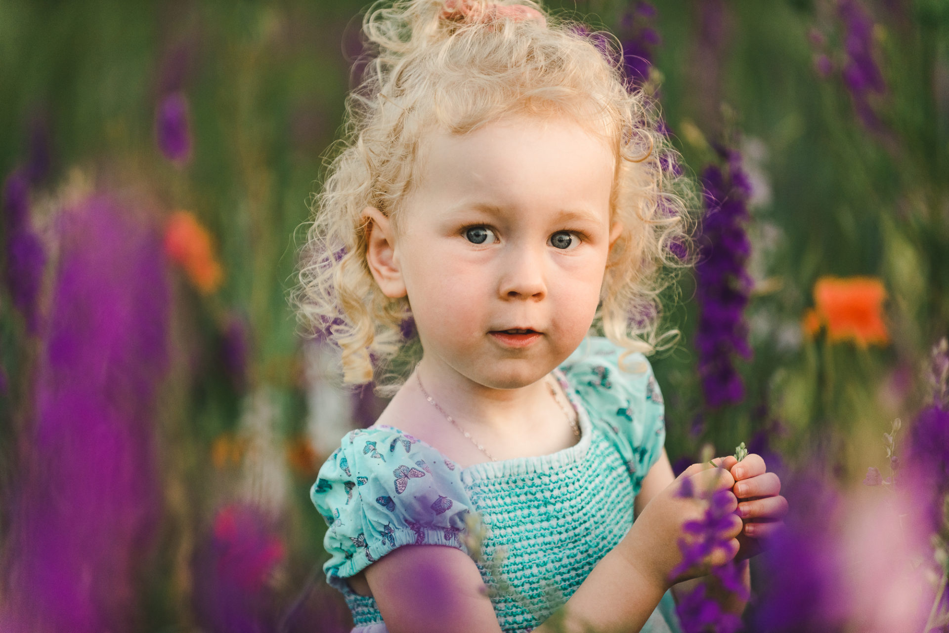 Tessa Trommer Fotografie Kinderportait Blumenfeld Sonnenuntergang Erfurt Weimar