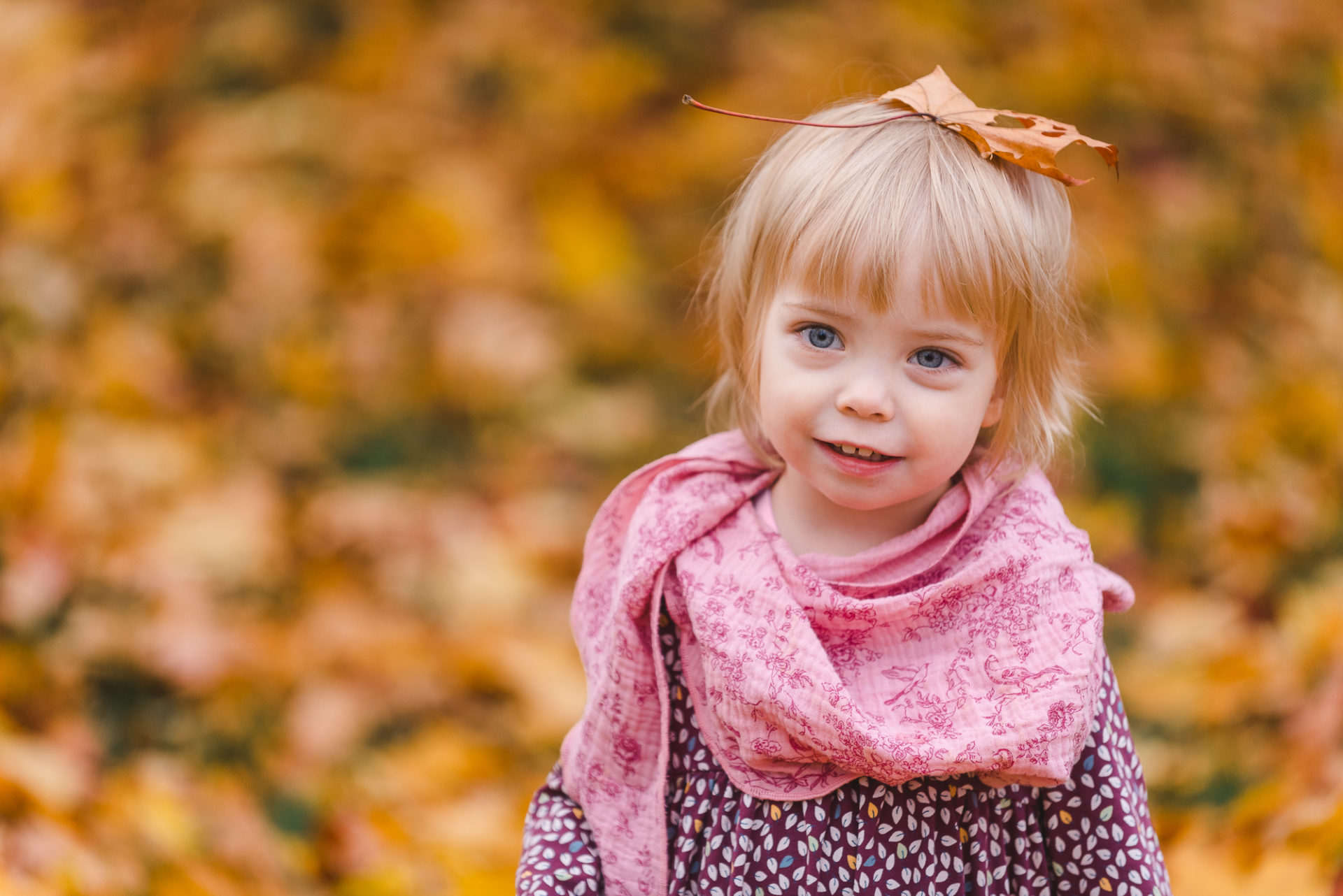 Tessa Trommer Fotografie Bad Berka Fotograf Weimar Erfurt Herbstshooting Familie 1 von 1