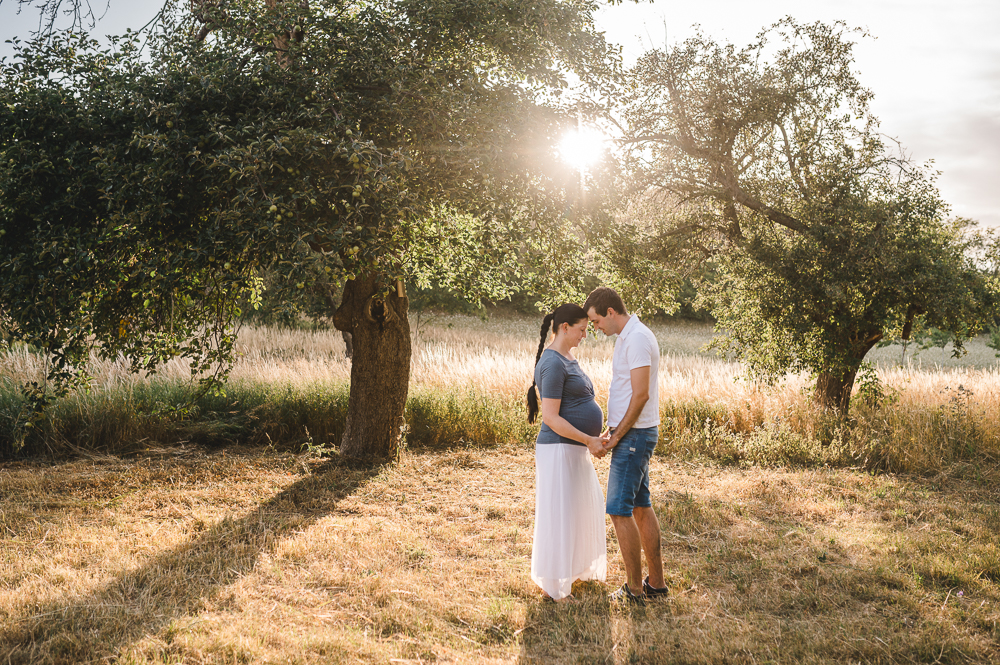 Tessa Trommer Fotografie Schwangerschaftsshooting Babybauch Couple Natur Sonnenuntergang Erfurt 1 von 1